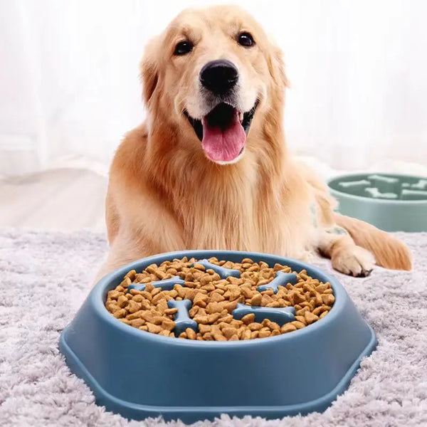Tigela de alimentação anti ansiedade